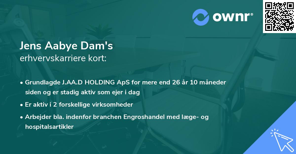Jens Aabye Dam's erhvervskarriere kort