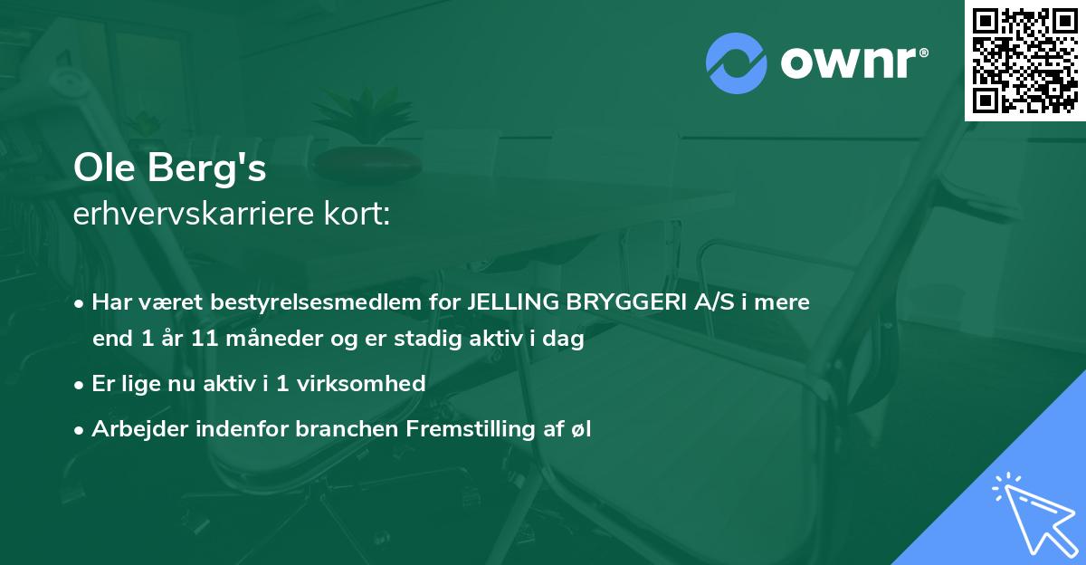 Ole Berg's erhvervskarriere kort