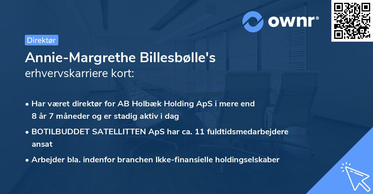 Annie-Margrethe Billesbølle's erhvervskarriere kort