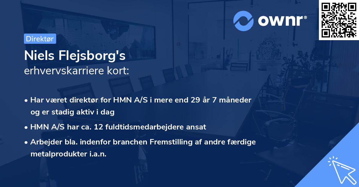 Niels Flejsborg's erhvervskarriere kort