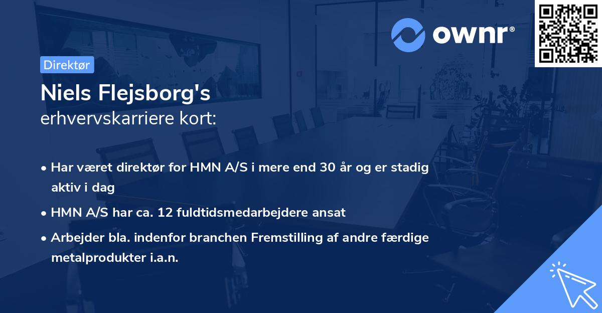 Niels Flejsborg's erhvervskarriere kort