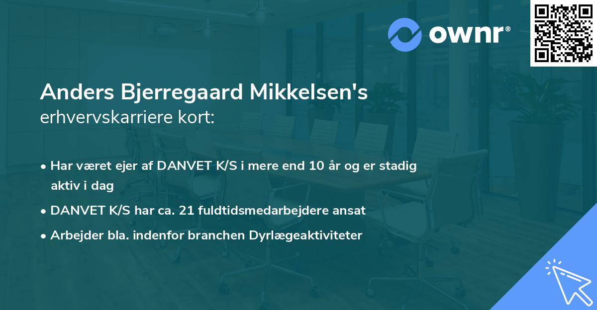 Anders Bjerregaard Mikkelsen's erhvervskarriere kort