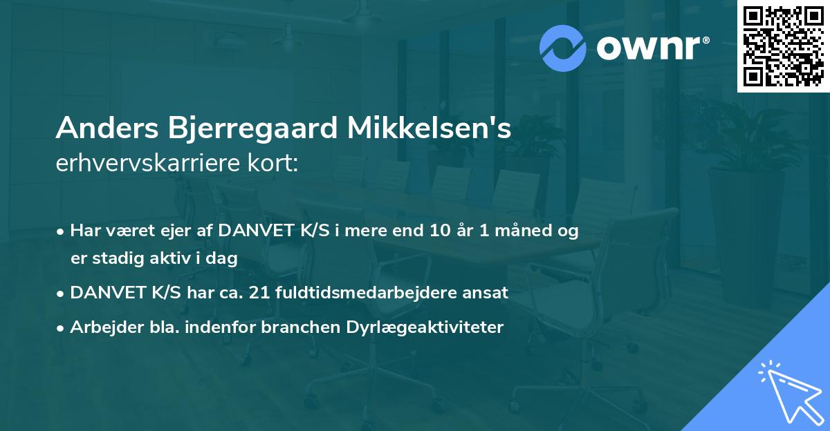 Anders Bjerregaard Mikkelsen's erhvervskarriere kort