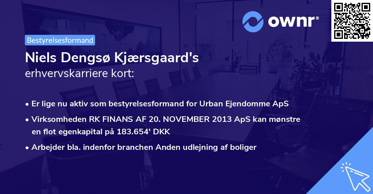 Niels Dengsø Kjærsgaard's erhvervskarriere kort