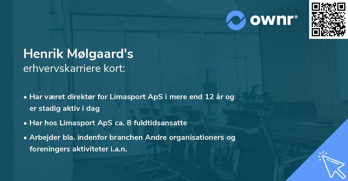 Henrik Mølgaard's erhvervskarriere kort