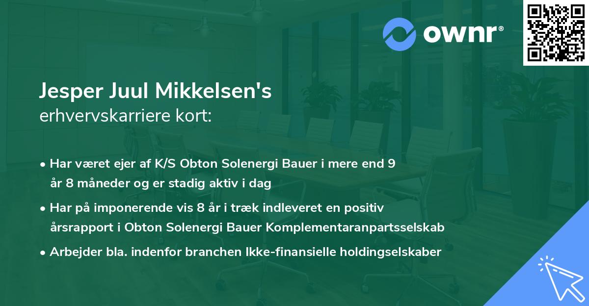 Jesper Juul Mikkelsen's erhvervskarriere kort