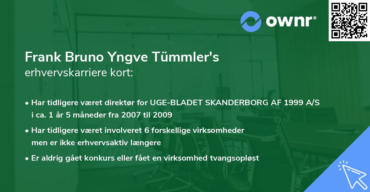 Frank Bruno Yngve Tümmler's erhvervskarriere kort