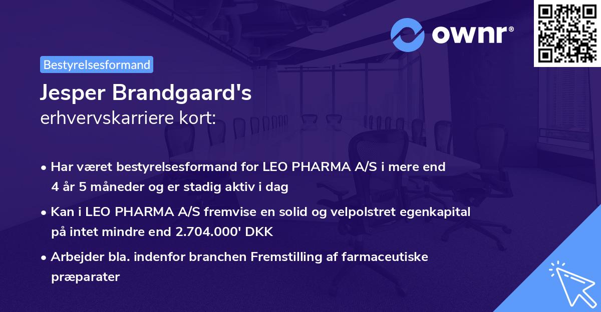 Jesper Brandgaard's erhvervskarriere kort