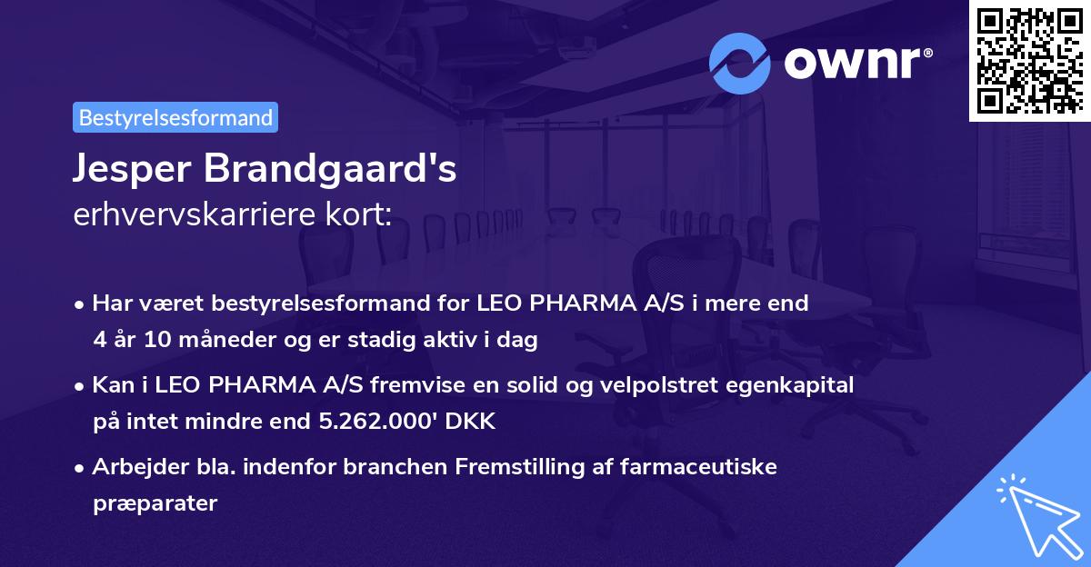 Jesper Brandgaard's erhvervskarriere kort