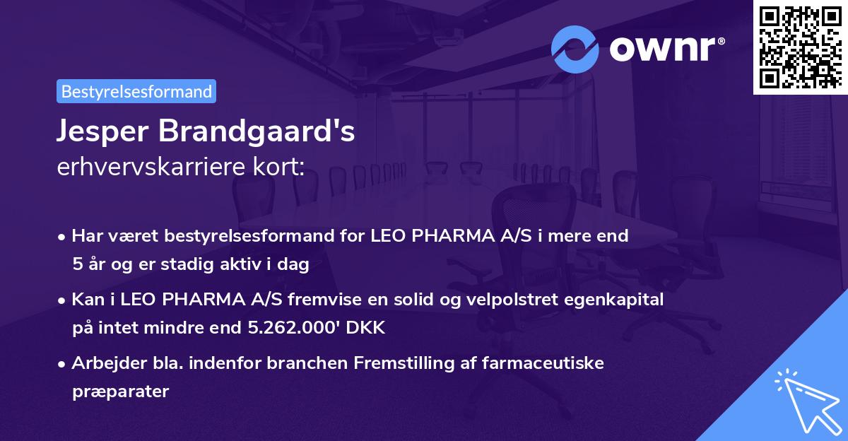 Jesper Brandgaard's erhvervskarriere kort