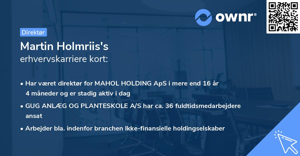Martin Holmriis's erhvervskarriere kort