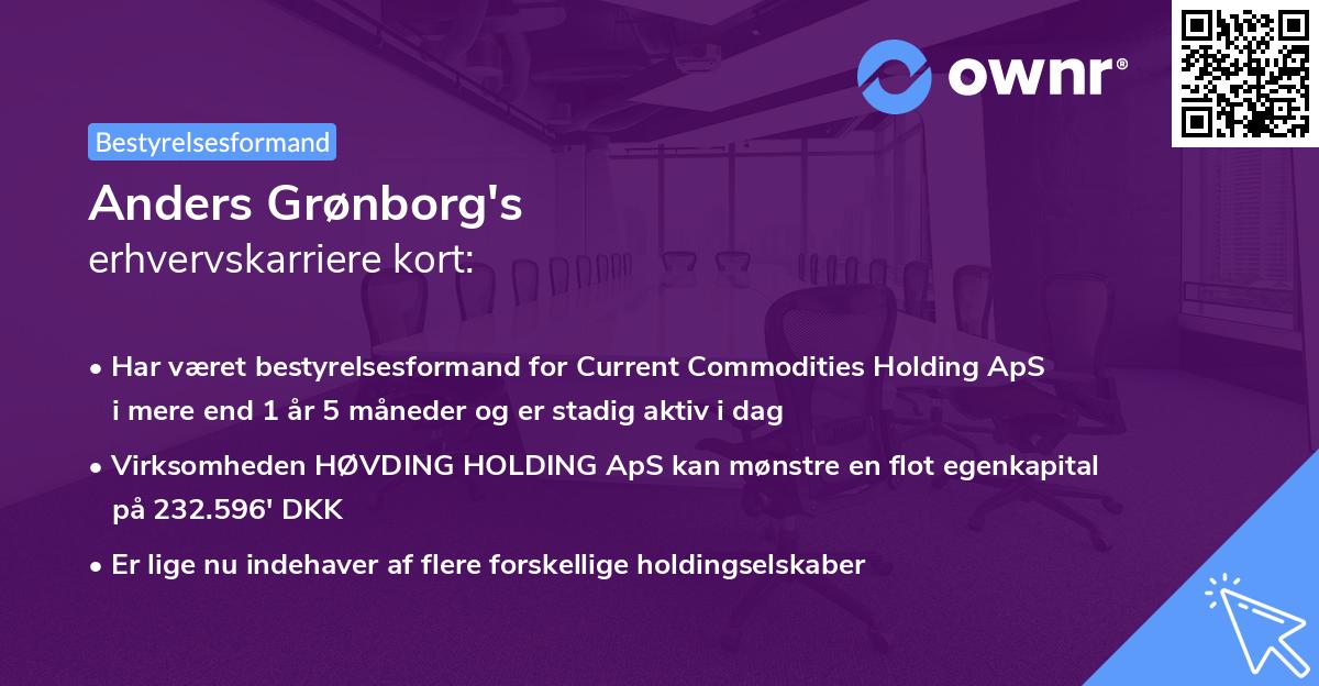 Anders Grønborg's erhvervskarriere kort