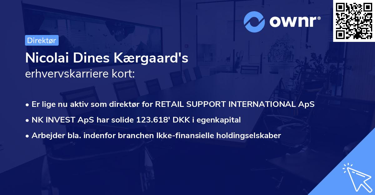 Nicolai Dines Kærgaard's erhvervskarriere kort