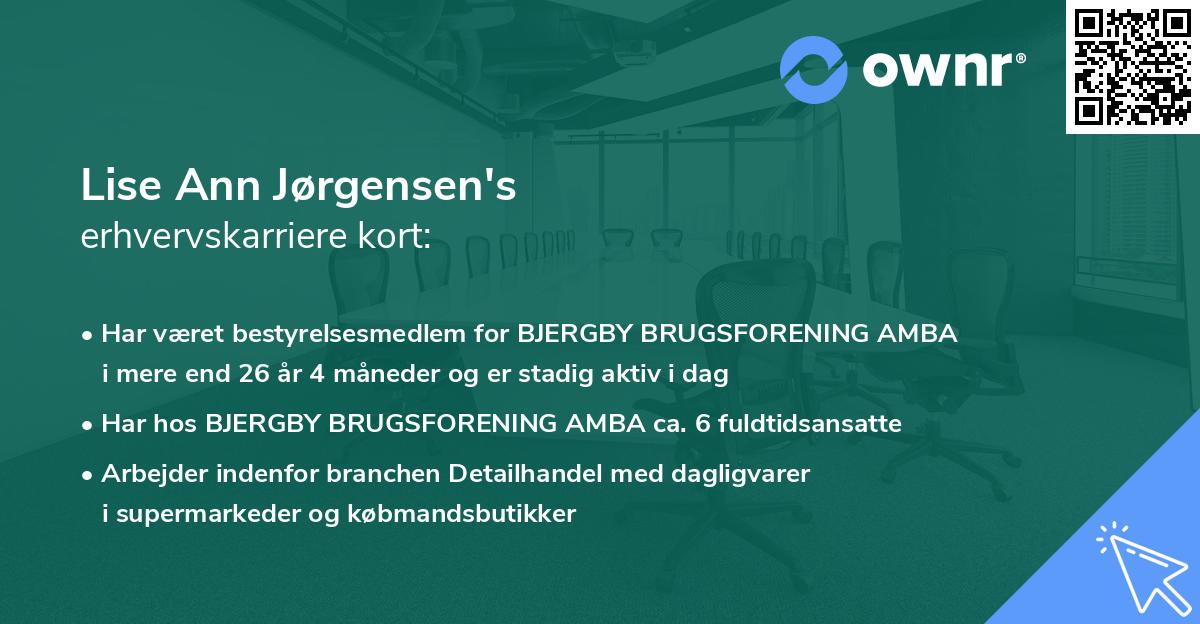 Lise Ann Jørgensen's erhvervskarriere kort