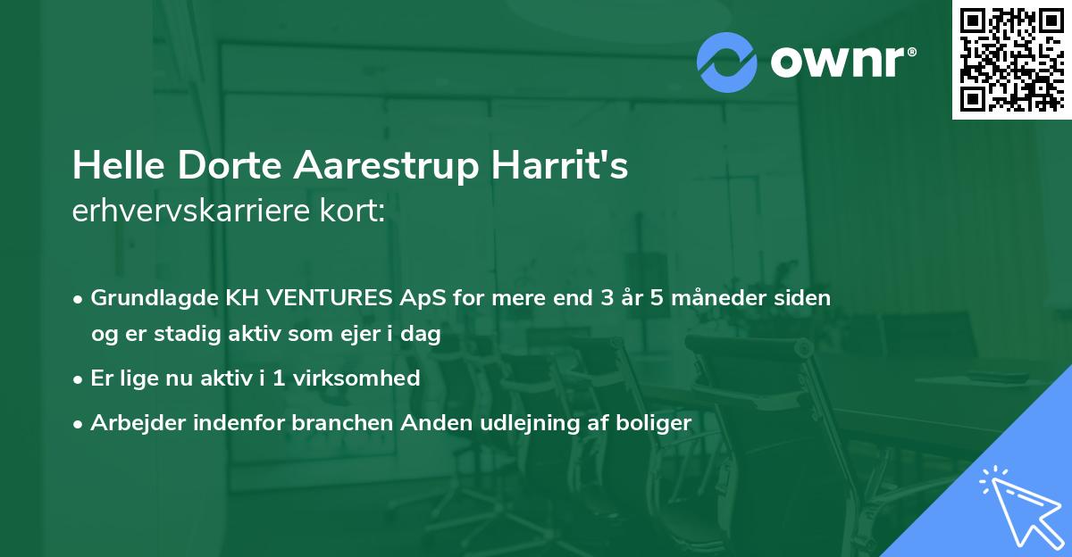 Helle Dorte Aarestrup Harrit's erhvervskarriere kort