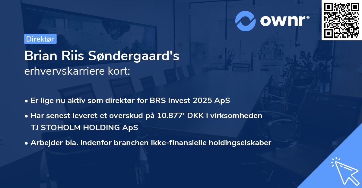 Brian Riis Søndergaard's erhvervskarriere kort