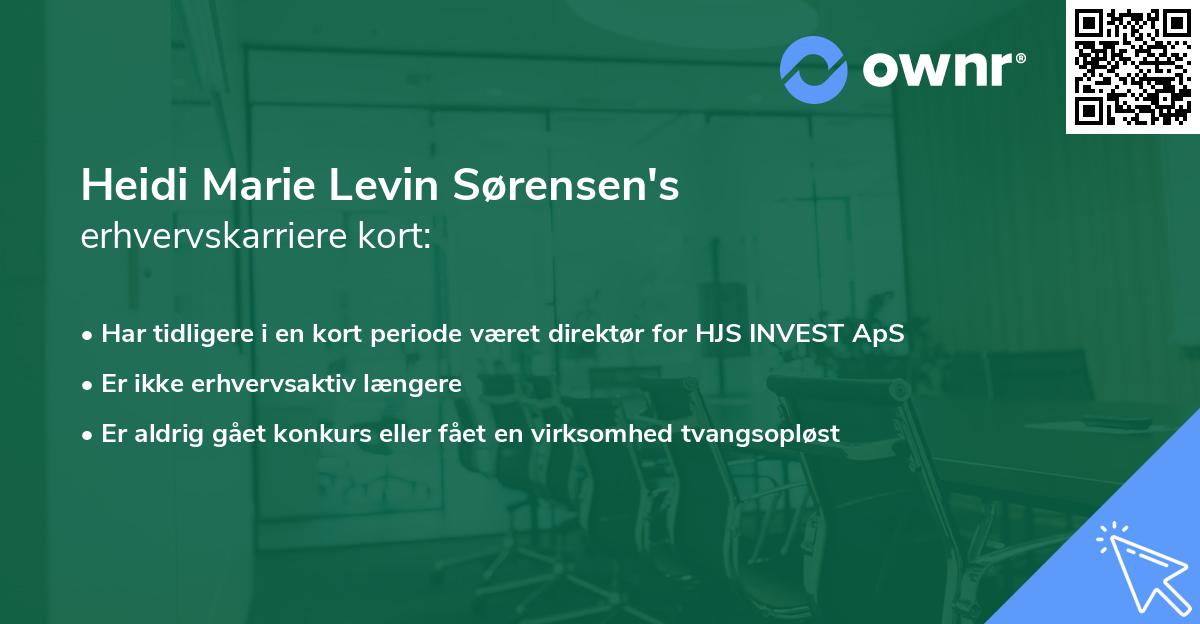 Heidi Marie Levin Sørensen's erhvervskarriere kort