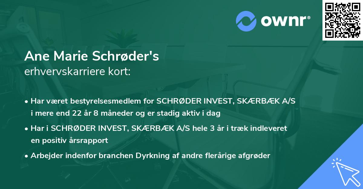 Ane Marie Schrøder's erhvervskarriere kort