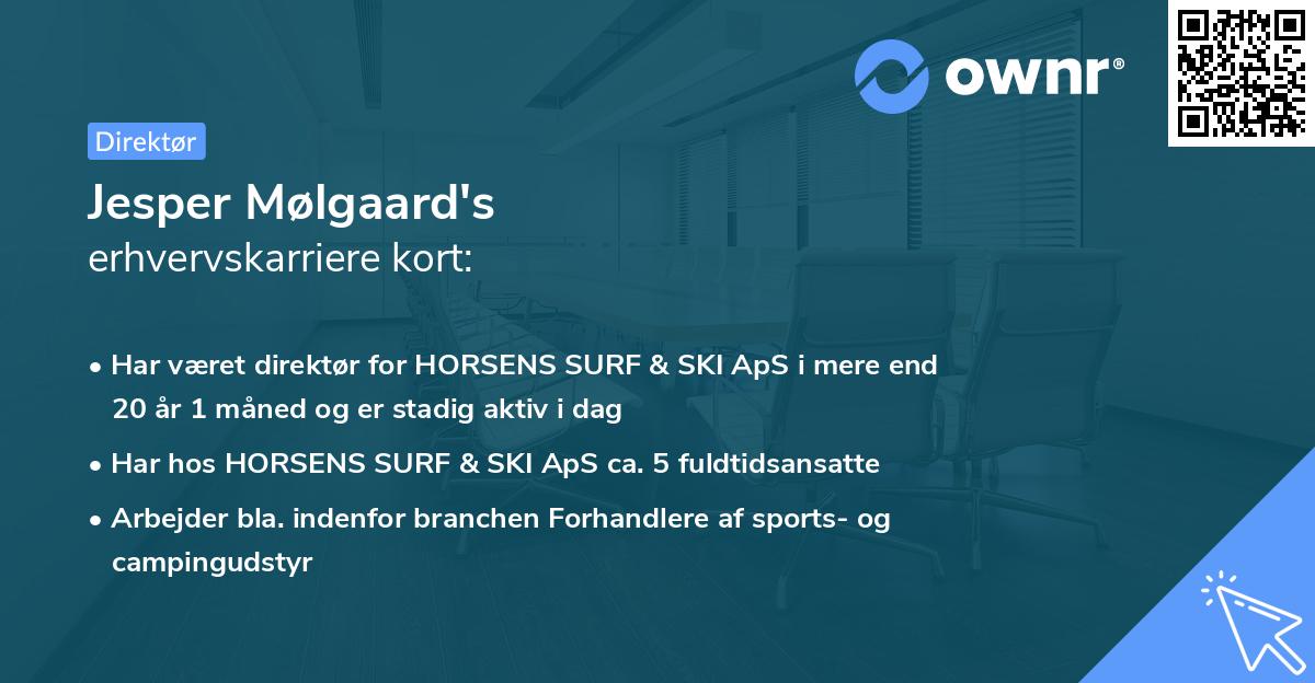 Jesper Mølgaard's erhvervskarriere kort