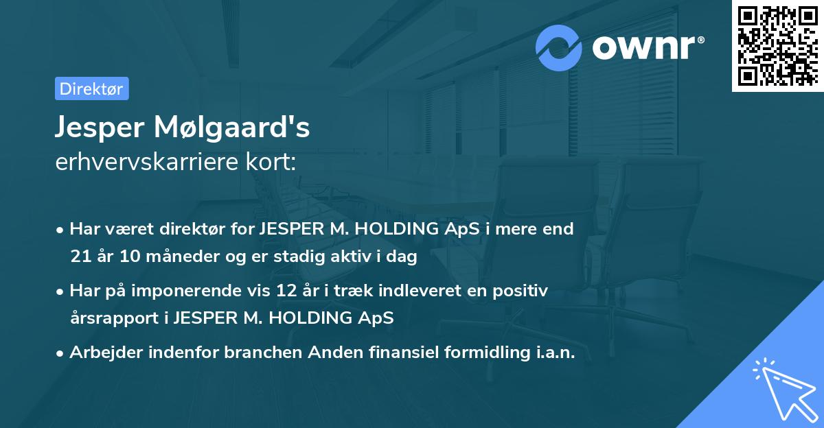 Jesper Mølgaard's erhvervskarriere kort