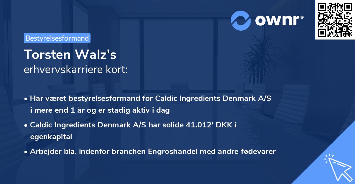 Torsten Walz's erhvervskarriere kort