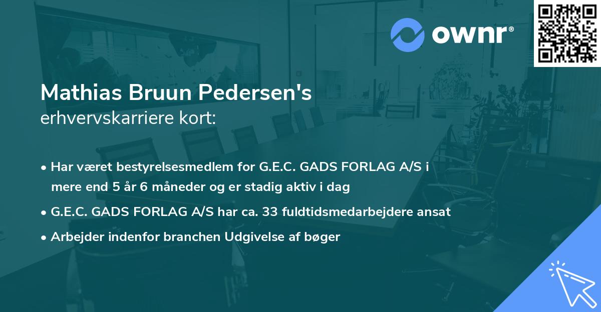 Mathias Bruun Pedersen's erhvervskarriere kort