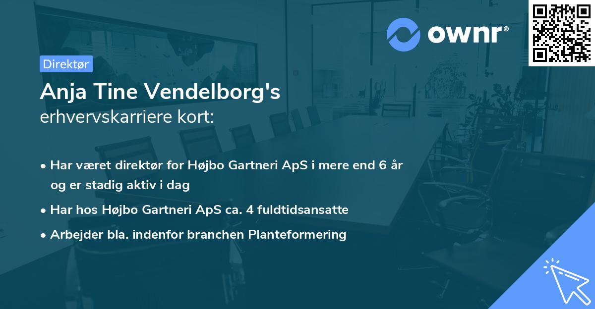 Anja Tine Vendelborg's erhvervskarriere kort