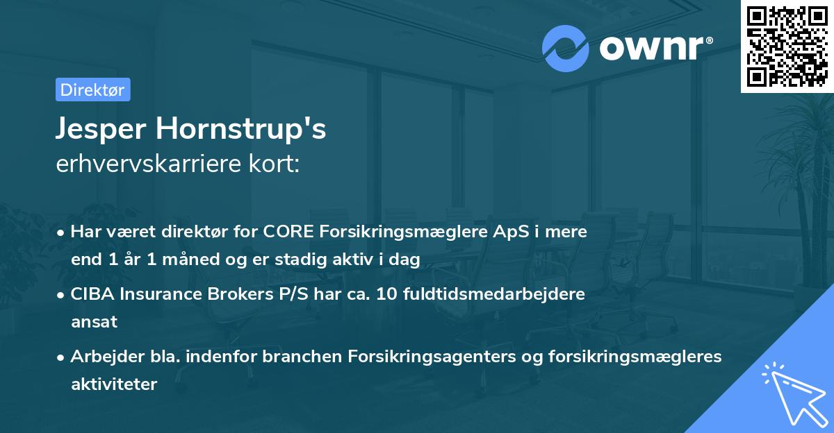 Jesper Hornstrup's erhvervskarriere kort