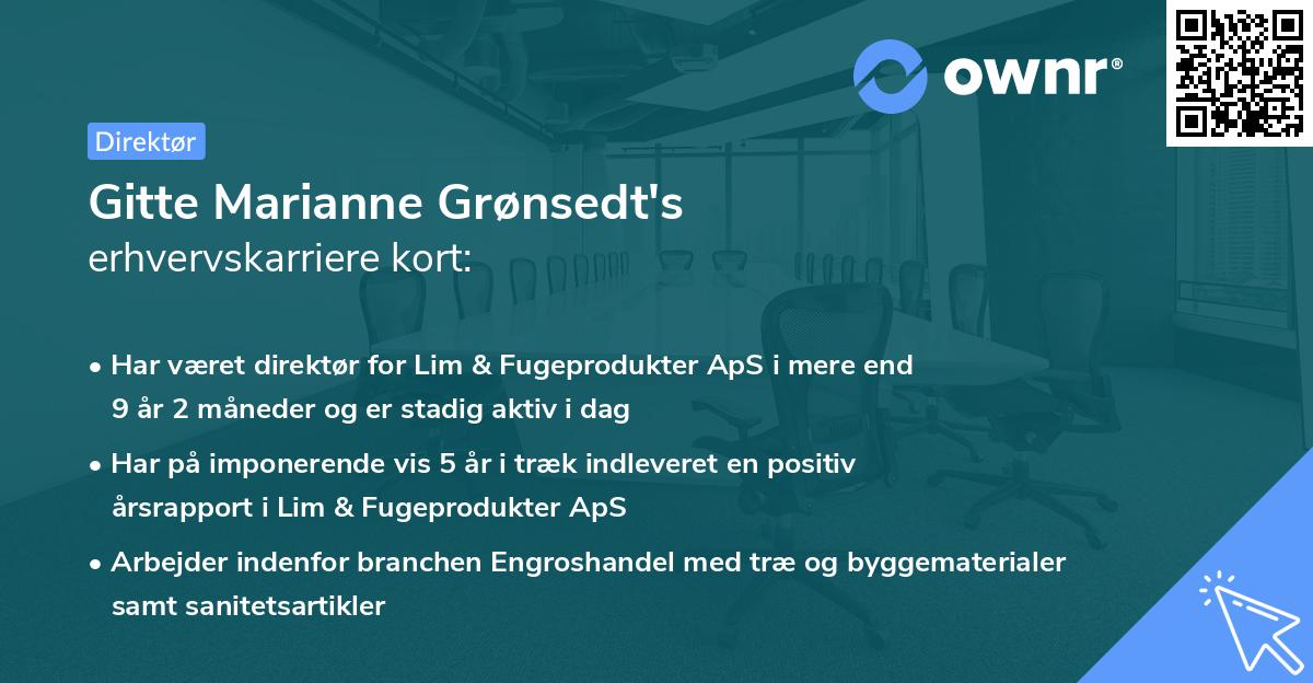 Gitte Marianne Grønsedt's erhvervskarriere kort