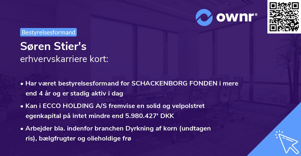 Søren Stier's erhvervskarriere kort