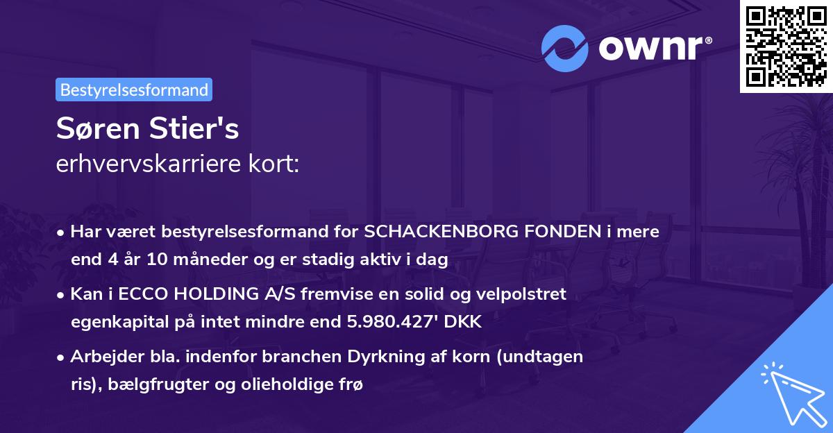 Søren Stier's erhvervskarriere kort