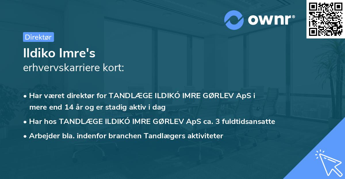 Ildiko Imre's erhvervskarriere kort