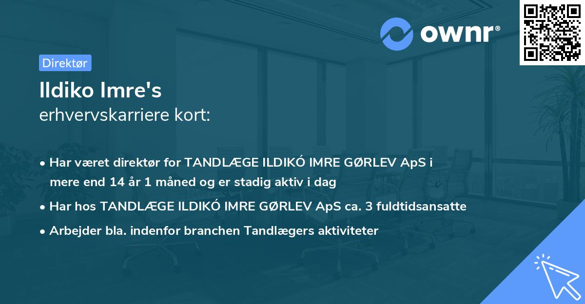 Ildiko Imre's erhvervskarriere kort