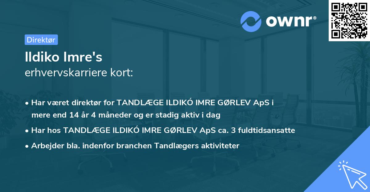 Ildiko Imre's erhvervskarriere kort