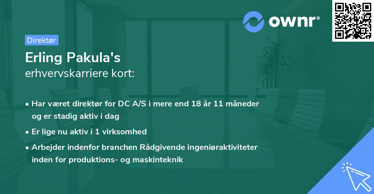 Erling Pakula's erhvervskarriere kort