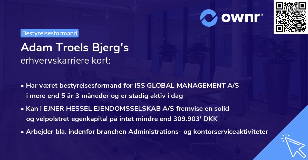 Adam Troels Bjerg's erhvervskarriere kort