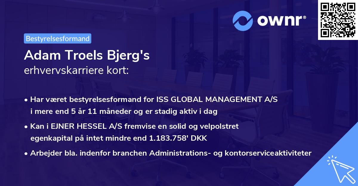 Adam Troels Bjerg's erhvervskarriere kort