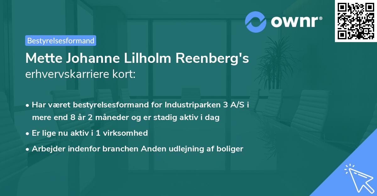 Mette Johanne Lilholm Reenberg's erhvervskarriere kort
