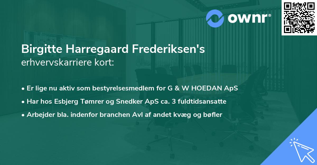 Birgitte Harregaard Frederiksen's erhvervskarriere kort