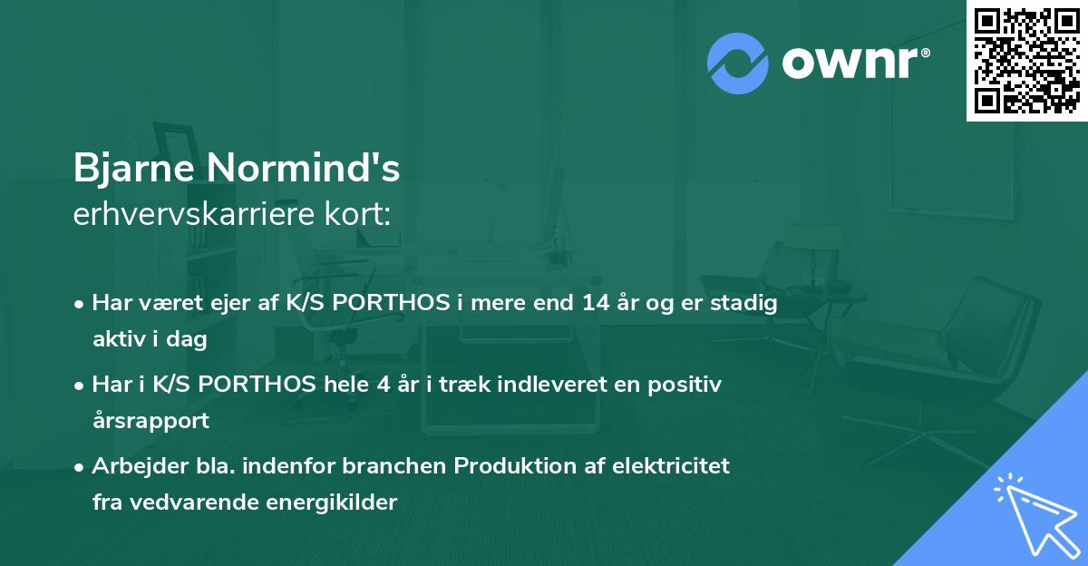 Bjarne Normind's erhvervskarriere kort