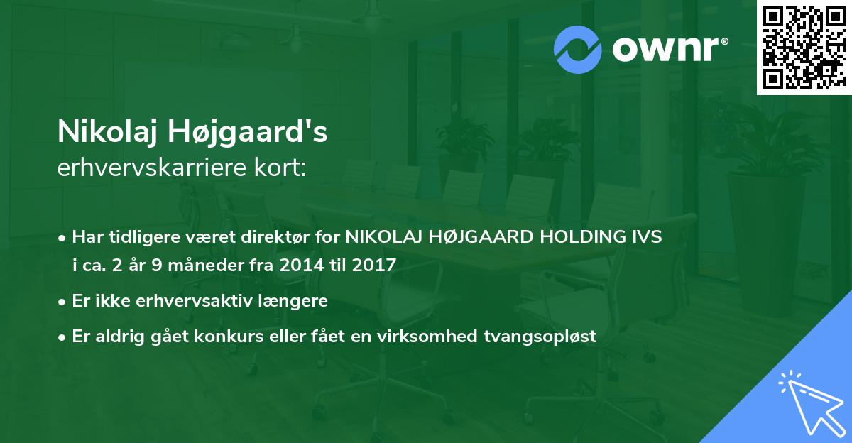 Nikolaj Højgaard's erhvervskarriere kort