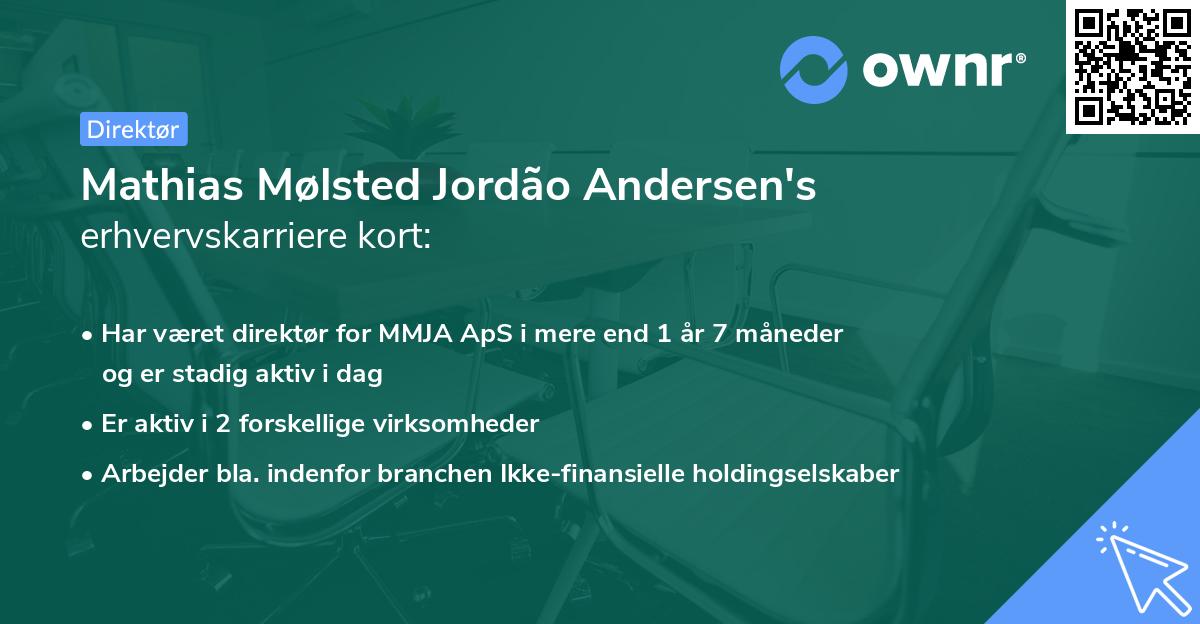 Mathias Mølsted Jordão Andersen's erhvervskarriere kort