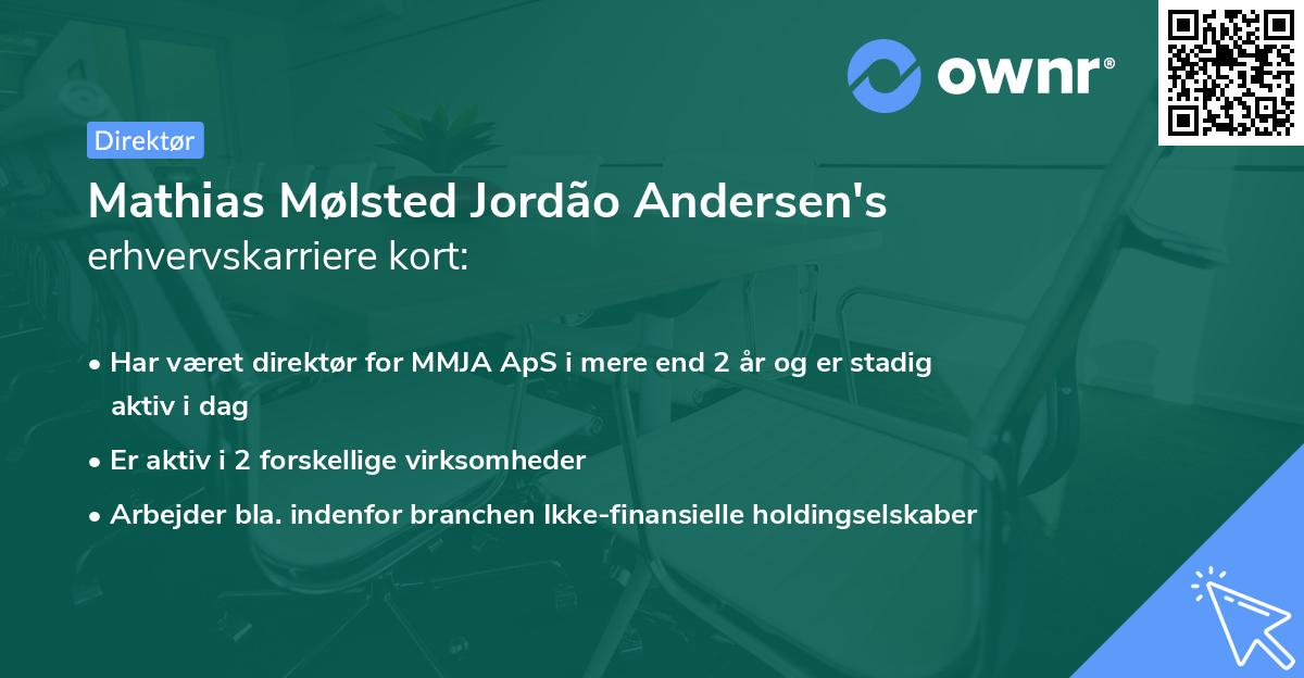 Mathias Mølsted Jordão Andersen's erhvervskarriere kort