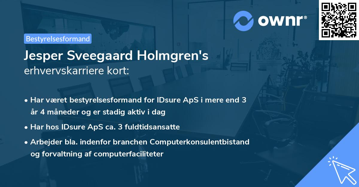 Jesper Sveegaard Holmgren's erhvervskarriere kort