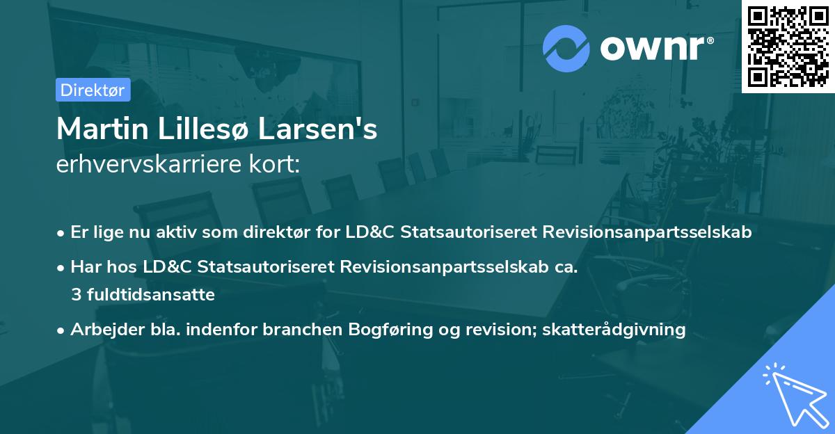 Martin Lillesø Larsen's erhvervskarriere kort