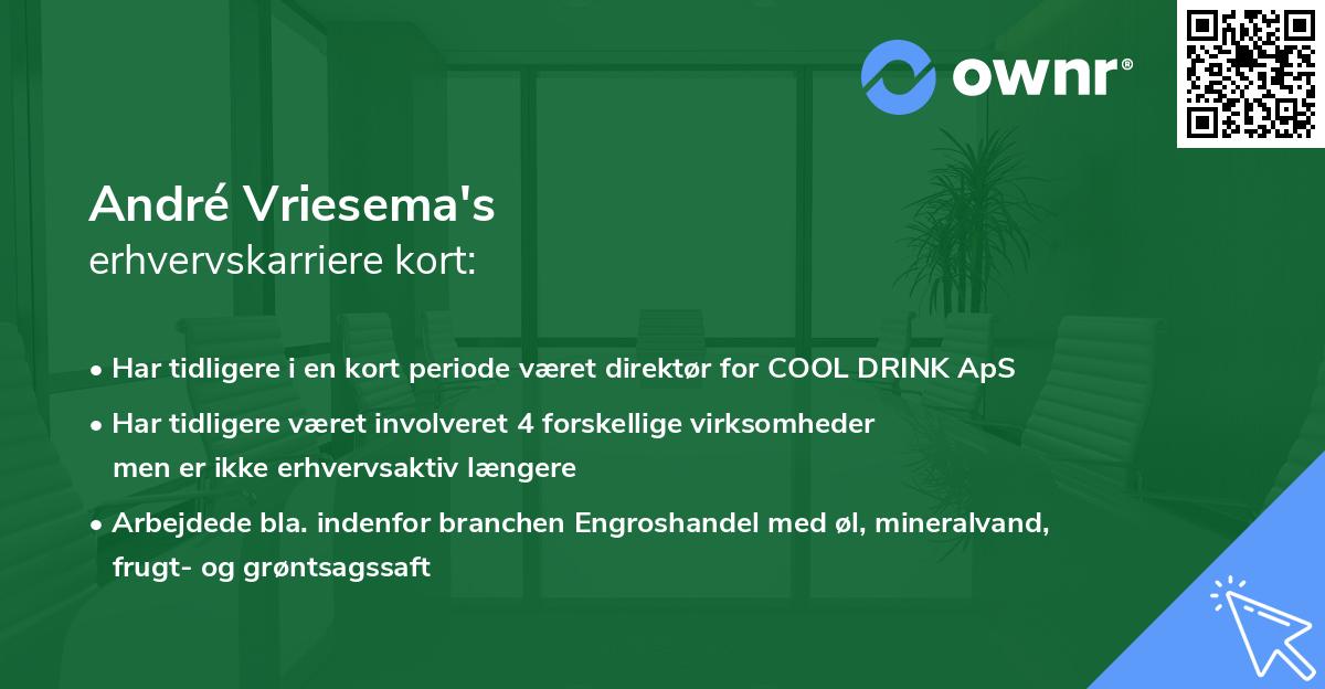 André Vriesema's erhvervskarriere kort