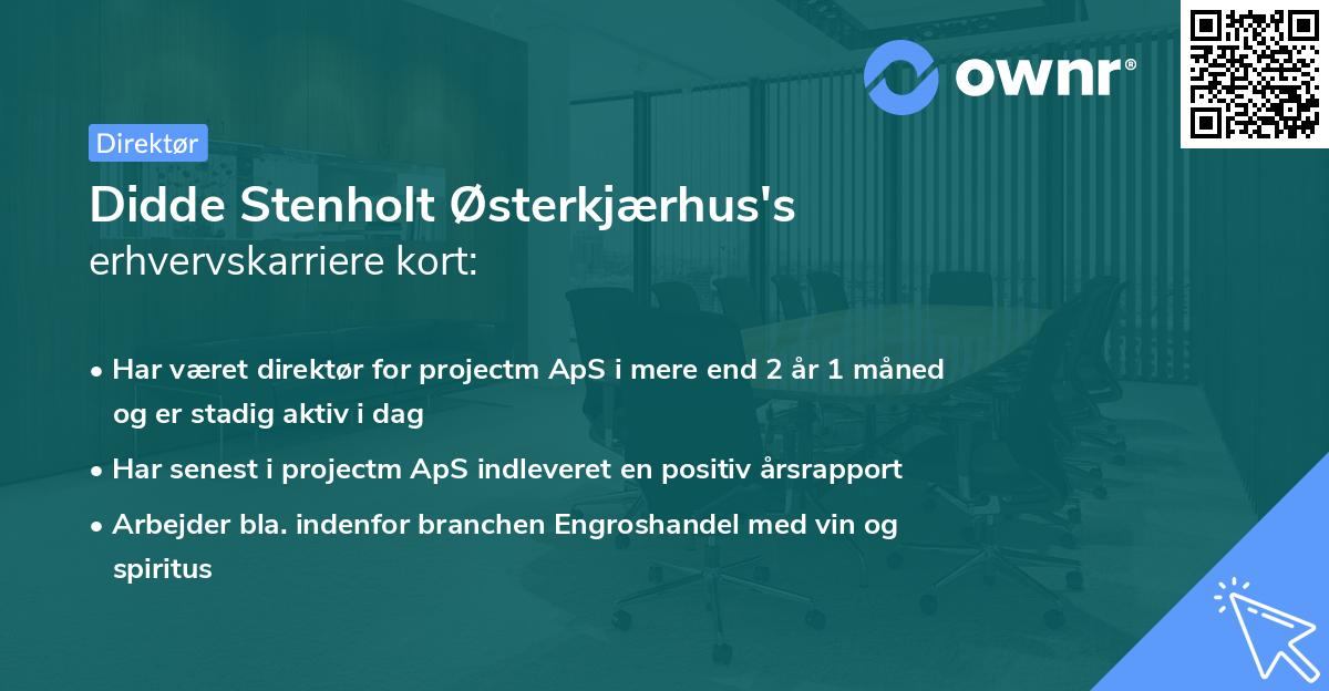 Didde Stenholt Østerkjærhus's erhvervskarriere kort