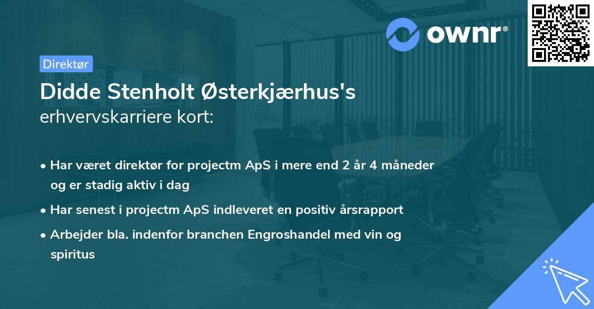 Didde Stenholt Østerkjærhus's erhvervskarriere kort