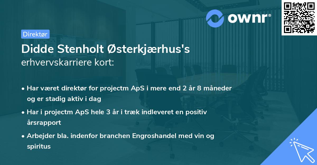 Didde Stenholt Østerkjærhus's erhvervskarriere kort