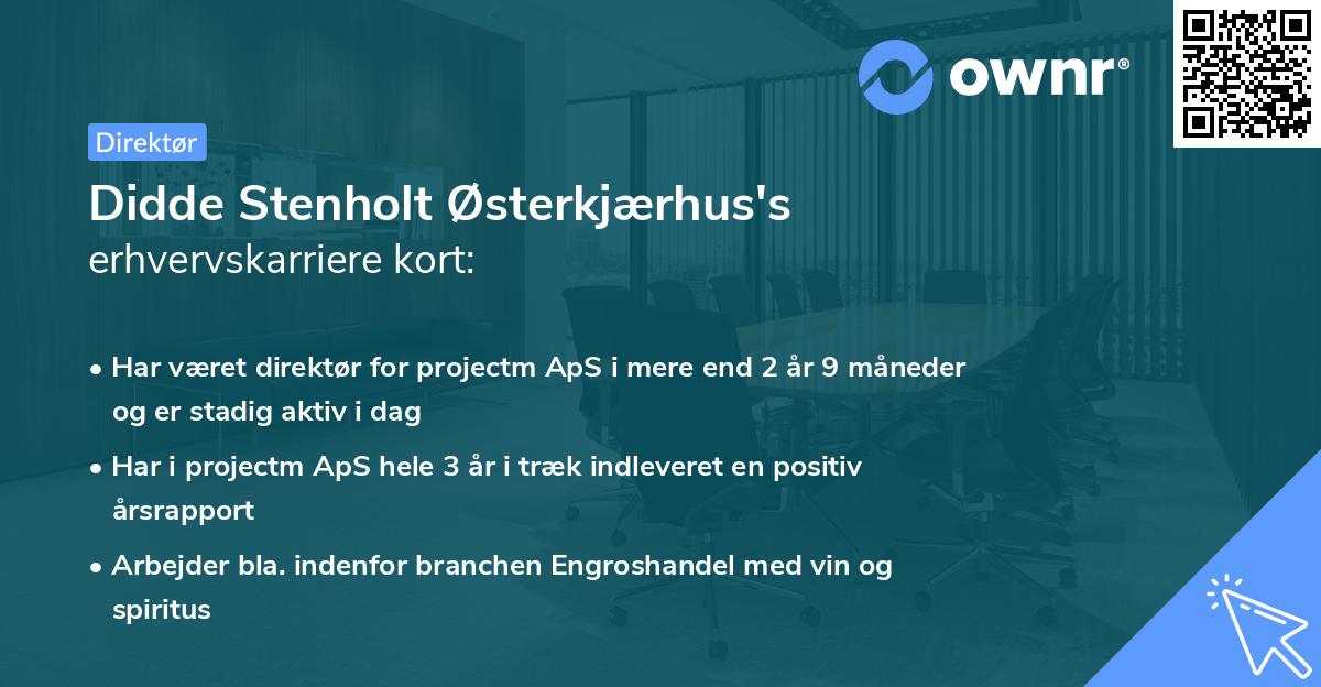 Didde Stenholt Østerkjærhus's erhvervskarriere kort